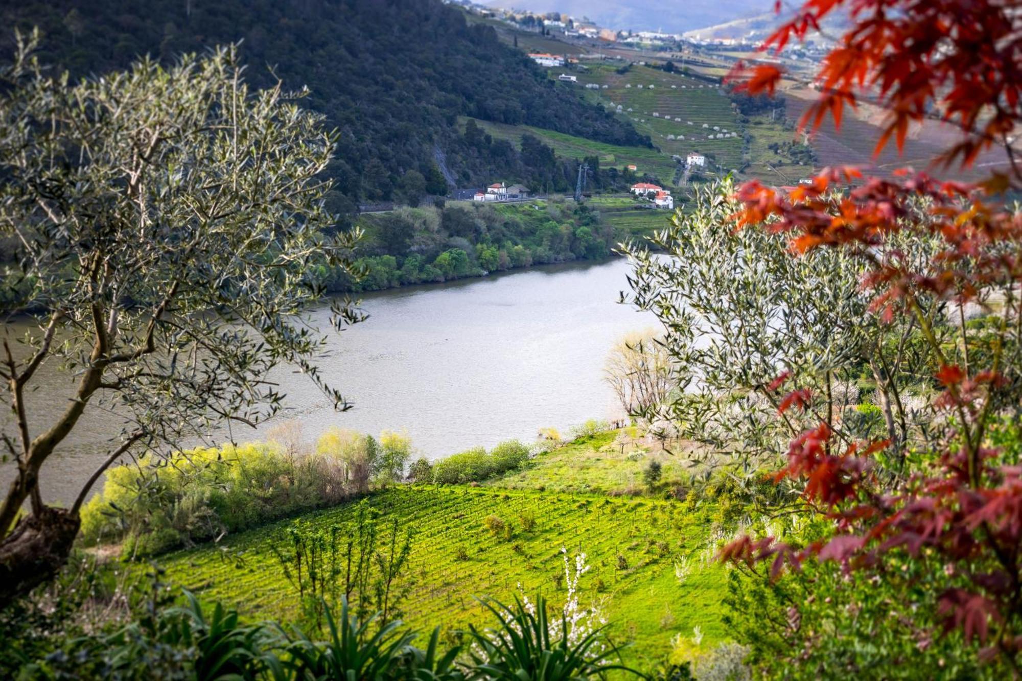 Fraga Douro House, Douro Valley 레센데 외부 사진